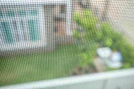 Mosquito Mesh